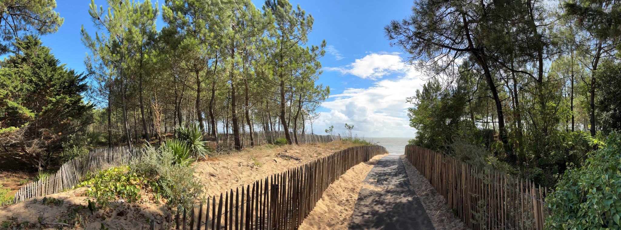 Terrain La tranche sur mer